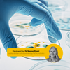 your guide to choosing the right live bacterial supplement reviewed by Dr Megan Rossi blog